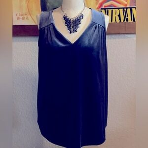 Blue velvet sleeveless top. Excellent condition. Perfect for the holidays.
